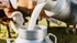 Hokkaido Milk